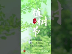 cilindro trasportatore di ossido di alluminio